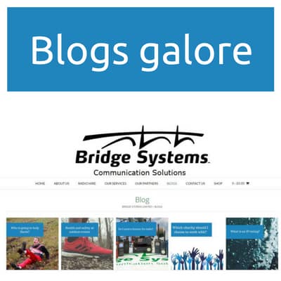 Bridge Systems Limited