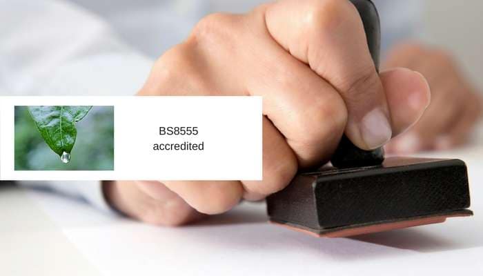Bridge Systems Limited